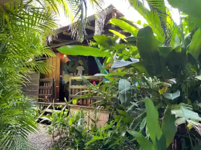 At the end of the path, a Zen space awaits you.