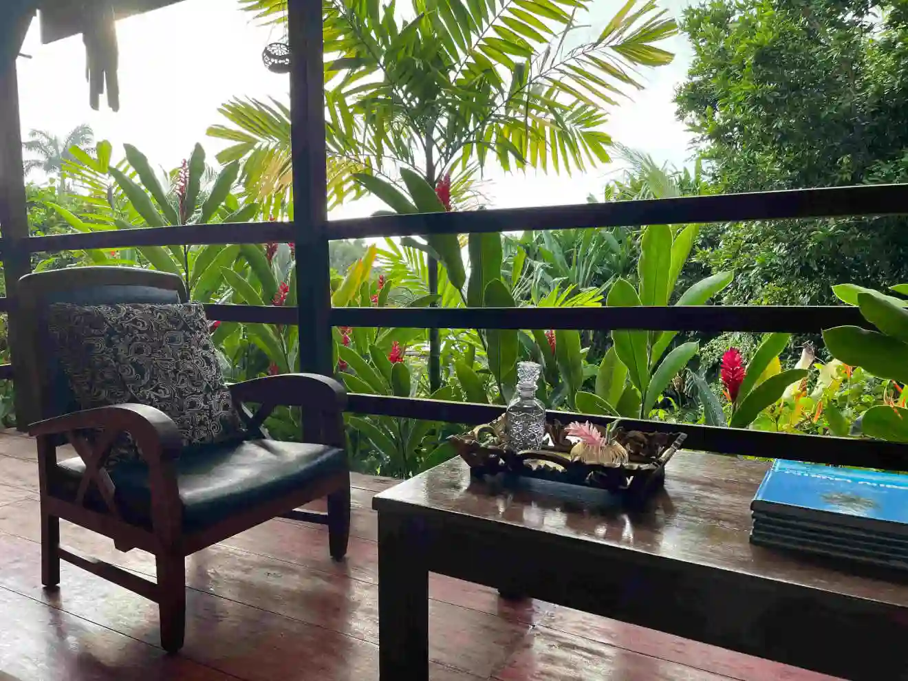 The magnificent terrace where you can admire the hummingbirds taking refuge in the Chinese Hat tree