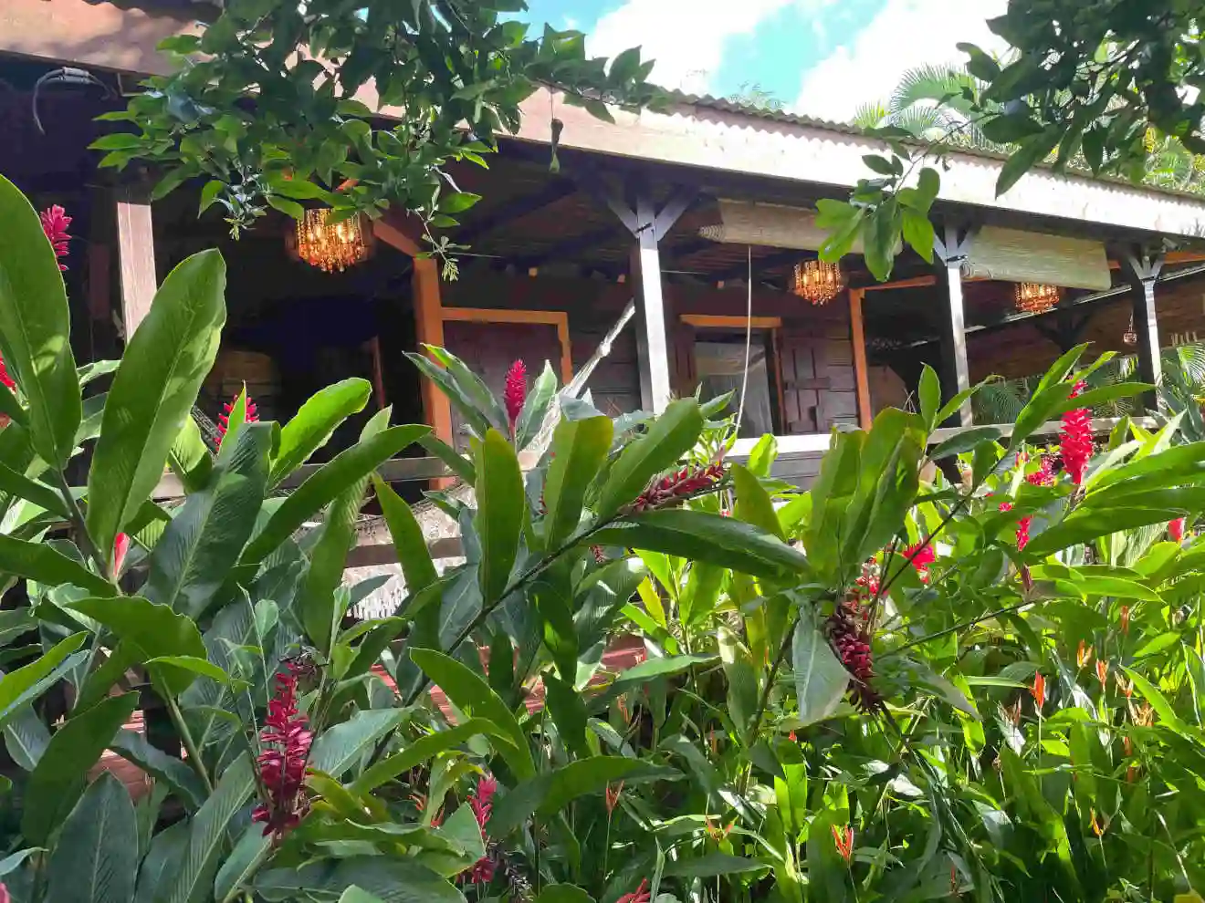 Experience the tropical garden