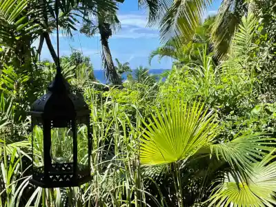 Sunsets over the Caribbean Sea will brighten the beginning of your evenings.